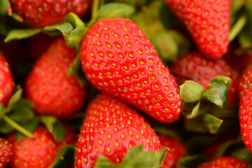 fresh and special strawberries on the market