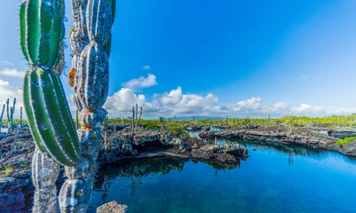 Foto op Canvas The peculiar lava formations of the Galapagos Islands © William Huang