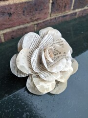 Newspaper Rose in the Rain