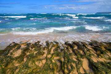 Rocks covered with green algae on Lumaha'i Beach on the North Shore of Kauai island in Hawaii,...