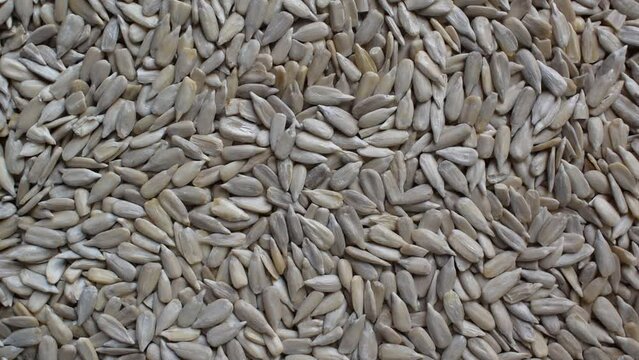Raw whole dried hulled sunflower seeds
