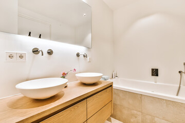 Bathroom with sinks and shower cabin