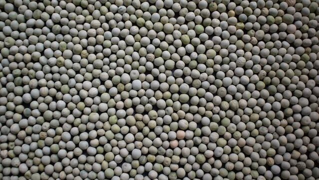 Raw whole dried green peas