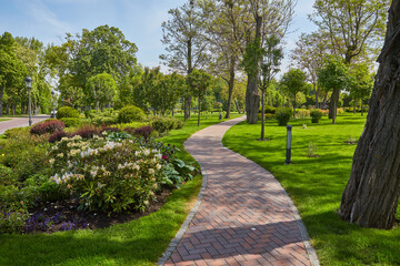 Jogging track in garden of public park among greenery trees, flower shrub and bush, black asfalt...