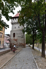 The Carpenter s Tower in Sibiu 11