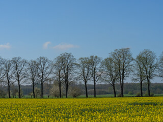 Obraz premium Die Kleinstadt Metelen im westlichen Münsterland