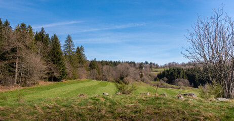 Naklejka premium Hauteurs, prairies et champs dans les montagnes des Vosges. Forêt de sapins et vacances