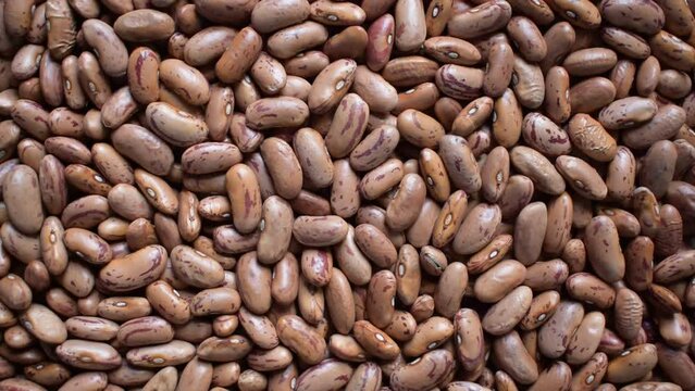 Raw whole dried speckled kidney beans