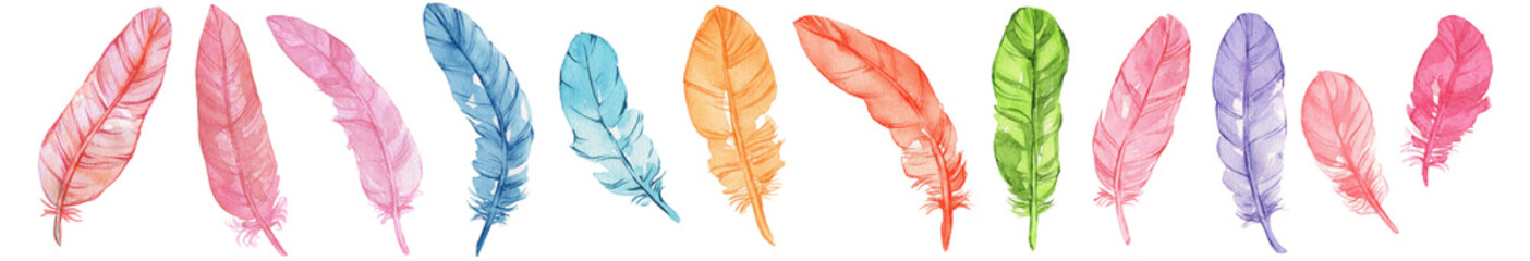 Set of colorful bird feathers isolated on white. Watercolor illustration. Perfect for wedding invitations, cards, tickets, congratulations, branding, logo label, emblem.