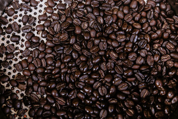 Coffee Beans