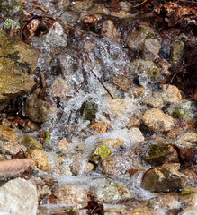 Gros plan d'un ruisseau de montagne. Pierres et mousses au milieu du ruissellement.
