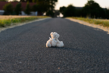 Teddy bear middle in the road