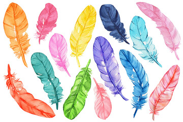 Set of colorful bird feathers isolated on white. Watercolor illustration. Perfect for wedding invitations, cards, tickets, congratulations, branding, logo label, emblem.