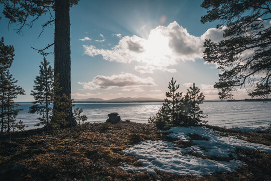 Beautiful view over Lake Storsj&ouml;n in swedish J&auml;mtland (Lapland) with mountains in the background (Oviksfj&auml;llen). Plants in the foreground.