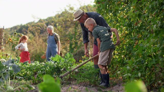 Grandparents with grandchildren working in garden together.
