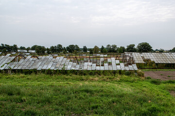 old broken greenhouse on a green meadow