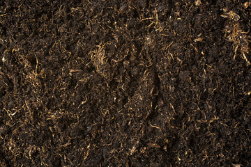Peat texture close up. Natural fertilizer.