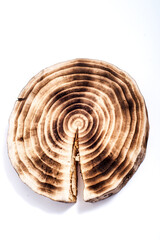 Burnt wood saw cut with a pronounced pattern of annual rings