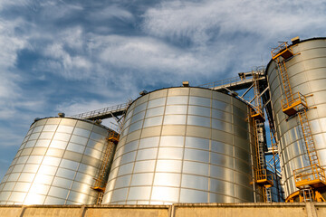 silver silos on agro manufacturing plant for processing drying cleaning and storage of agricultural products, flour, cereals and grain. Large iron barrels of grain. Granary elevator