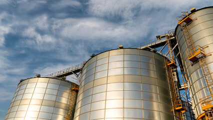 silver silos on agro manufacturing plant for processing drying cleaning and storage of agricultural products, flour, cereals and grain. Large iron barrels of grain. Granary elevator
