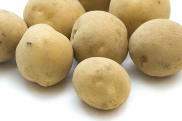ジャガイモ　白バック 