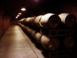 Wine Casks Barrels in Cellar