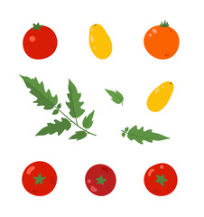 A set of fresh, juicy tomatoes. The set includes red and yellow tomatoes, cherry tomatoes, leaves. Healthy, natural food. Flat cartoon colorful illustration