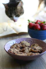 Bowl of chocolate chip cookies and bowl of strawberries. Open book and cute hingry cat in the background. Selective focus.
