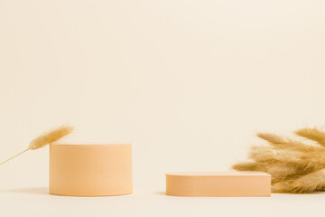 Geometric podium for product presentation with dry grass, abstract minimal background for product display, pastel color