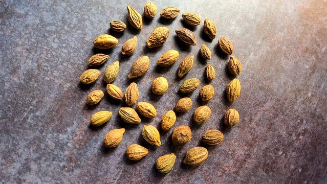 Raw whole dried Terminalia chebula fruit