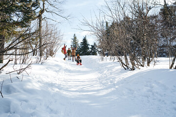 Extreme long shot of three young people having fun on winter day watching their friend sledding down