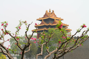 Naklejka premium China Traditional Temple