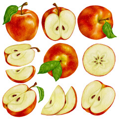 Set of watercolor red apples. Ripe fruit illustration.