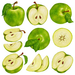 Set of watercolor green apples. Ripe fruit illustration.