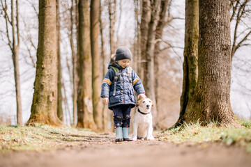 Fototapeta premium Small kid in blue jacket with white dog puppy breed jack russel terrier in spring forest. Childhood with pets concept