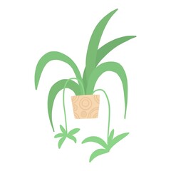 Tropical house plant pot. Ficus, monstera, protea, pellaea, succulent in various pot, vase. Scandinavian cozy home decor. Flat vector cartoon illustration isolated on white background