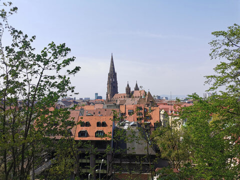 Blick auf die Stadt Freiburg im Breisgau mit dem Freiburger Münster