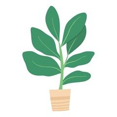 Tropical house plant pot. Ficus, monstera, protea, pellaea, succulent in various pot, vase. Scandinavian cozy home decor. Flat vector cartoon illustration isolated on white background