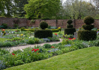 Colourful tulips amidst other spring flowers at Eastcote House Gardens, historic walled garden...