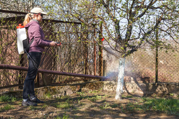A woman works in the spring garden and spray with a rechargeable sprayer chemicals against pests...