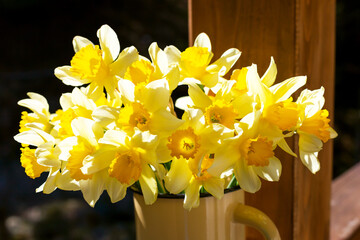 Fresh daffodils in a mug