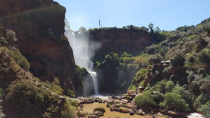 Cascade Près Des Arbres Verts Pendant La Journée