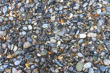 colored sea pebbles on a rocky beach close-up