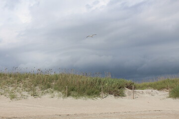 cloudy beach and sand dunes
