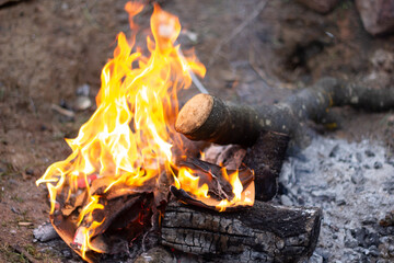 Bonfire made with wood burning in a camping. Close-up of yellow fire in the nature