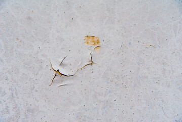 Old painted wall with cracked texture.