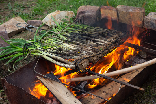 Sweet onions known as "cal&ccedil;ots" in a barbecue. Typical catalan food.	