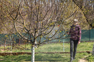 A woman works in the spring garden and spray with a rechargeable sprayer chemicals against pests...