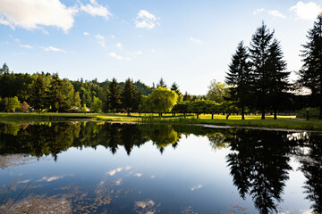 reflection of trees in the lake on a golf course