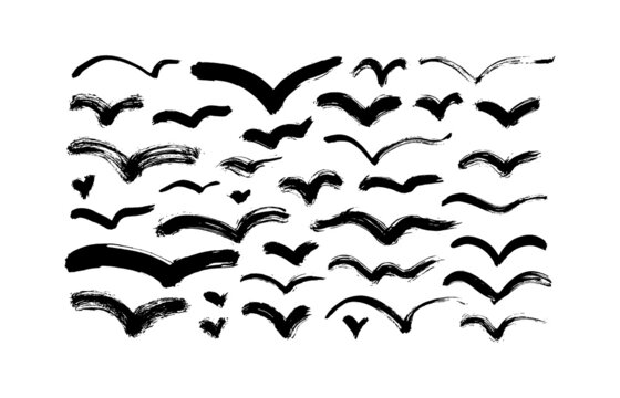 Abstract flying birds vector cliparts collection. Hand drawn black bird silhouettes isolated on white background. Black curved lines and wavy brushstrokes. Calligraphy smears, stamps, lines.